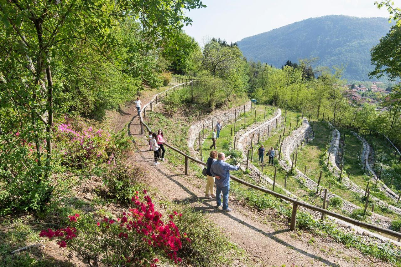 Agriturismo Al Motto Cambiasca 외부 사진